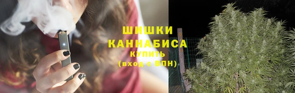прущая мука Гусев