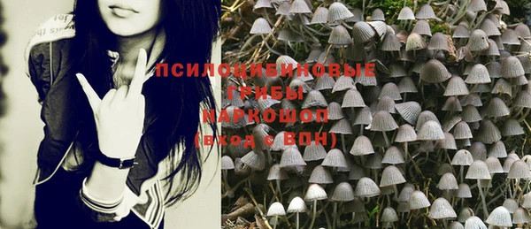 прущая мука Гусев