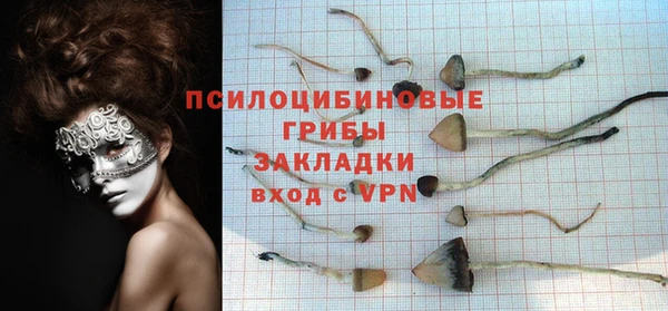 винт Гусиноозёрск