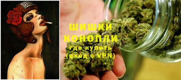 винт Гусиноозёрск